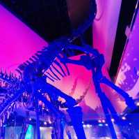 Get prehistoric at Lee Kong Chian Natural History Museum