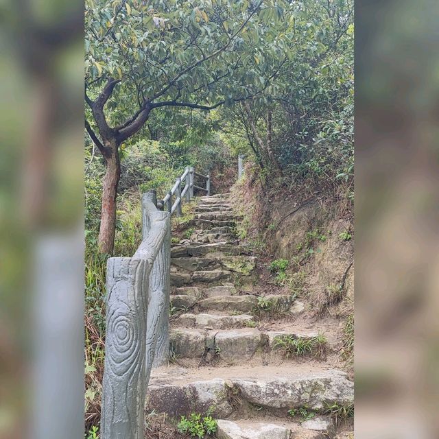 莫說青山多障礙~風也急風也勁😂