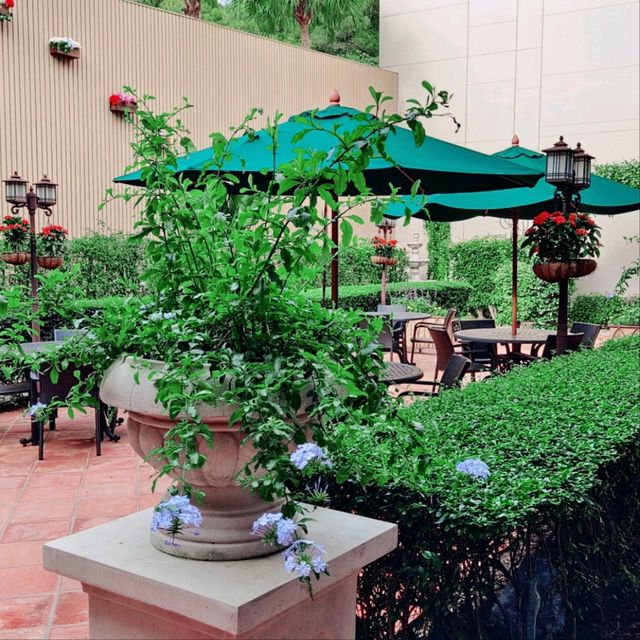 日本料理鐵板燒，加上超大，豐富打卡位的花園！