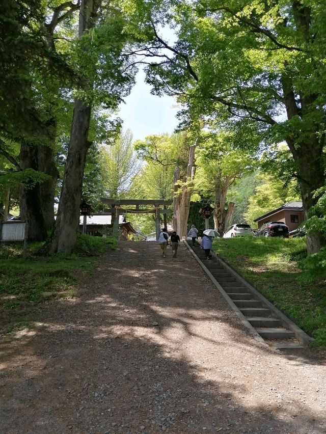 【諏訪大社】御柱祭の御神木は裏側を含めて圧巻
