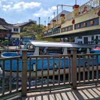 The fascinating river cruise! 🌊🚢