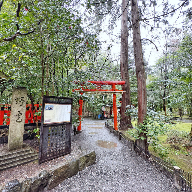 細雨🌦️慢步嵯峨野🎋竹林步道🚶‍♂️