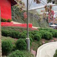 Floral Park: A Floral Fantasia in Cameron