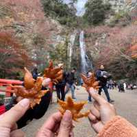 Osaka Minoh Waterfall 