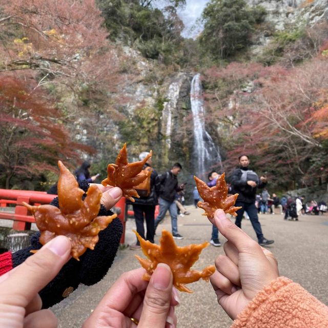 Osaka Minoh Waterfall 