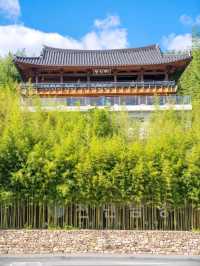 올 여름 죽녹원가야하는이유:)