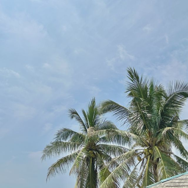 บ้านไม้ริมทะเล 🏡 🌊