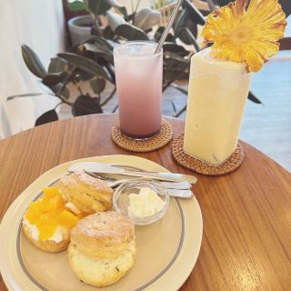 Rainforest｜I can't go back after eating this scone