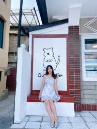 광주에서 핫한 쿼카커피 전주 객사에도 등쟝 🐨🤎