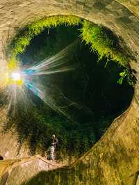 จุดถ่ายรูปยอดฮิต ปักหมุด Fort Canning Tree Tunnel