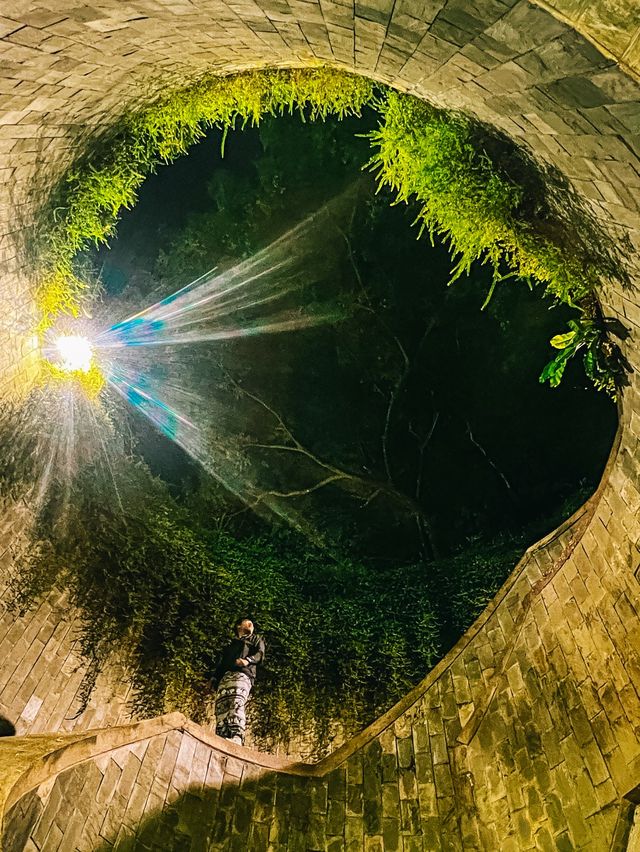 จุดถ่ายรูปยอดฮิต ปักหมุด Fort Canning Tree Tunnel