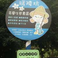 探索神秘的瑪陵坑⛩️基隆的寶藏地！🌳⛰️🌿 