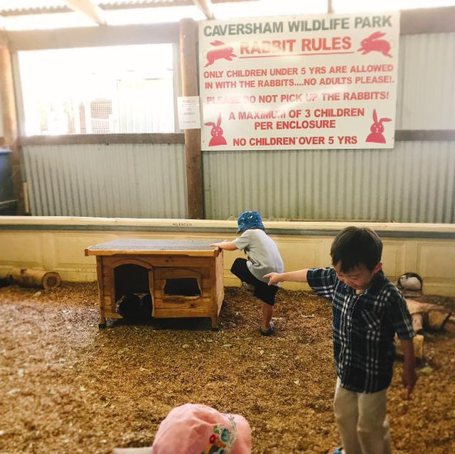 Animal fun at Caversham Wildlife Park