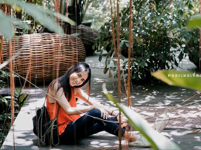 Little Tree Garden คาเฟ่นครปฐม