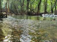 อุทยานแห่งชาติน้ำตกสี่ขีด