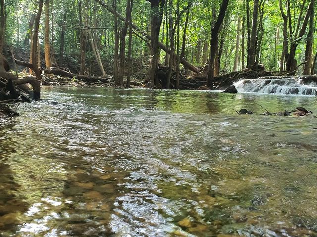 อุทยานแห่งชาติน้ำตกสี่ขีด