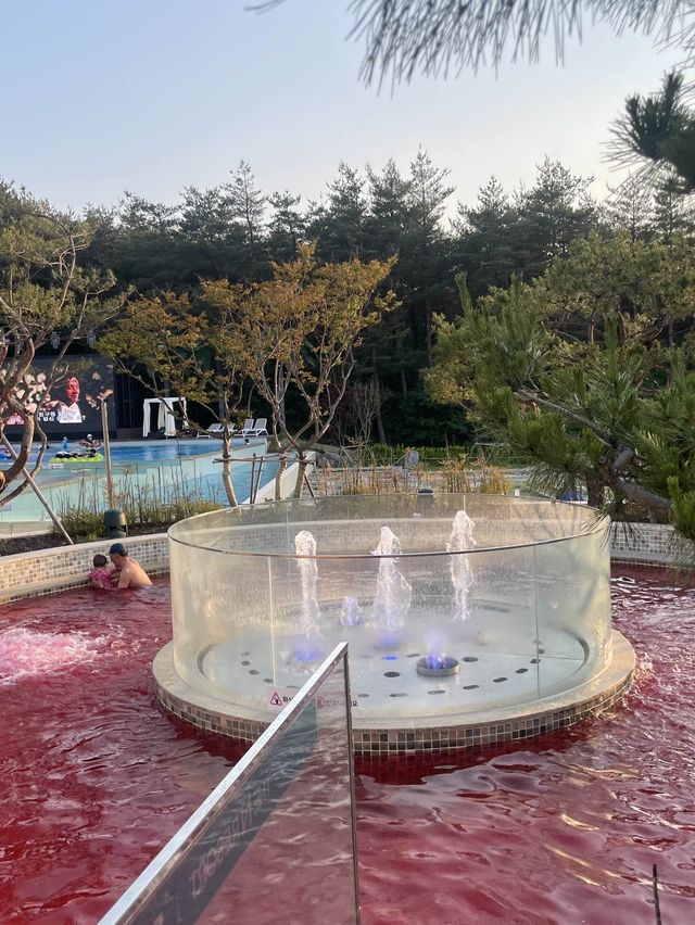 겨울엔 양양 더앤리조트 온천으로 ♨️