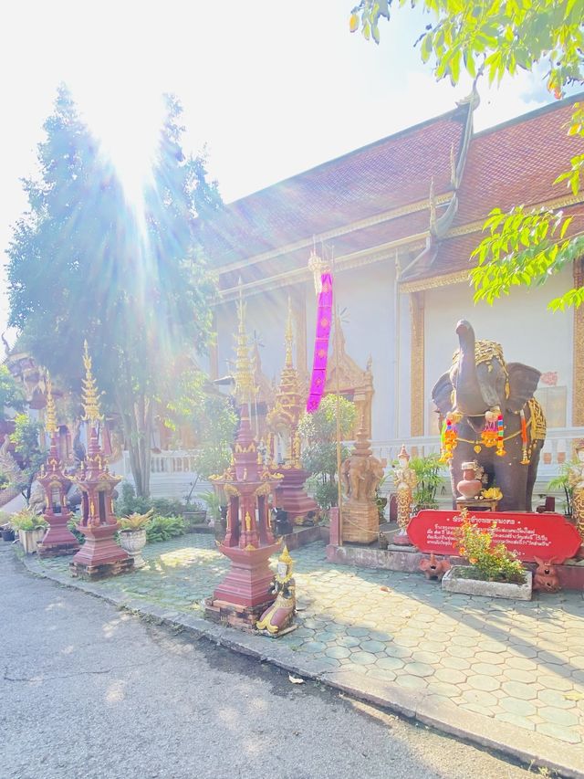 ไหว้พระขอพร | วัดล่ามช้าง | เชียงใหม่