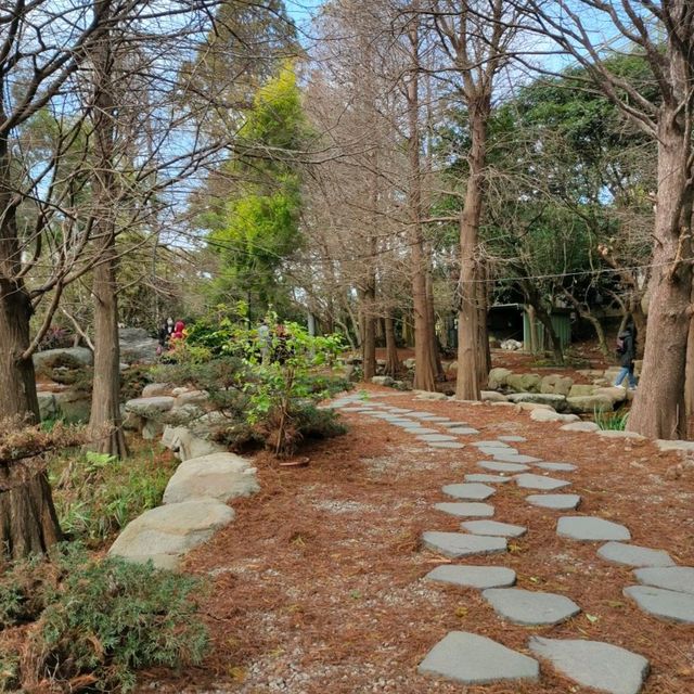 美麗的偶像劇景點-品園日式庭園