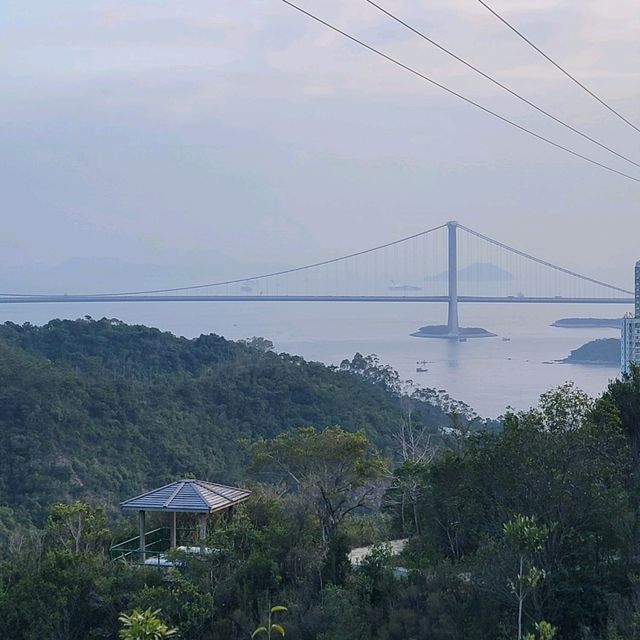 深井行山｜新年觀賞吊鐘花｜欣賞青馬大橋景色 