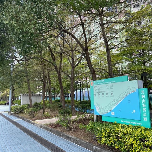 市區中寧靜‼️馬鞍山海濱長廊💕