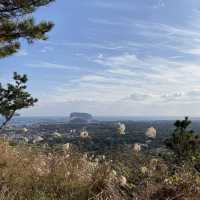 제주 올레의 역사가 시작된 올레길 1코스