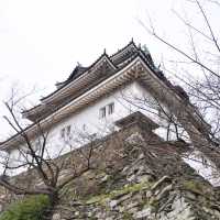 和歌山城 🏰 