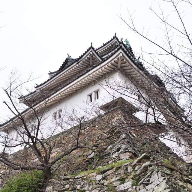 和歌山城 🏰 