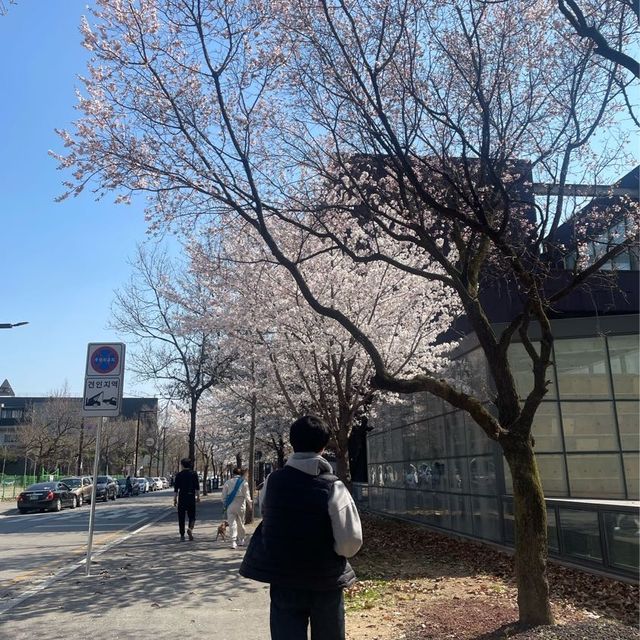 파주 출판단지 봄나들이😍