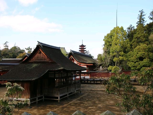 Miyajima and deers of God