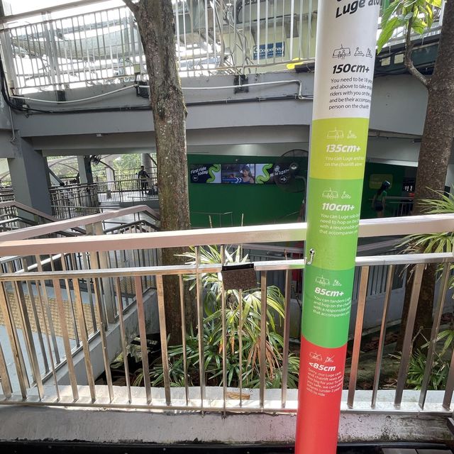 聖淘沙空中吊椅-坐喺吊椅上，悠閑看看新加坡美景