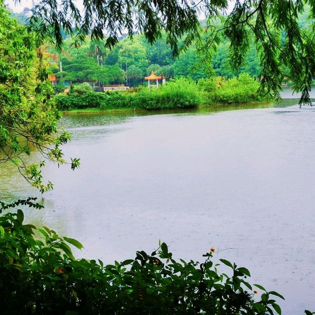 仙湖植物公園