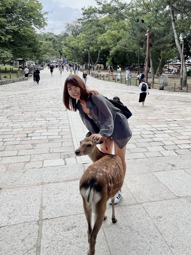 日本 奈良公園&東大寺