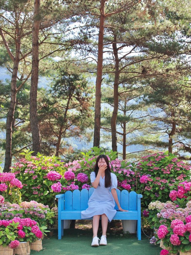 자라섬 남도꽃정원 꽃축제💛