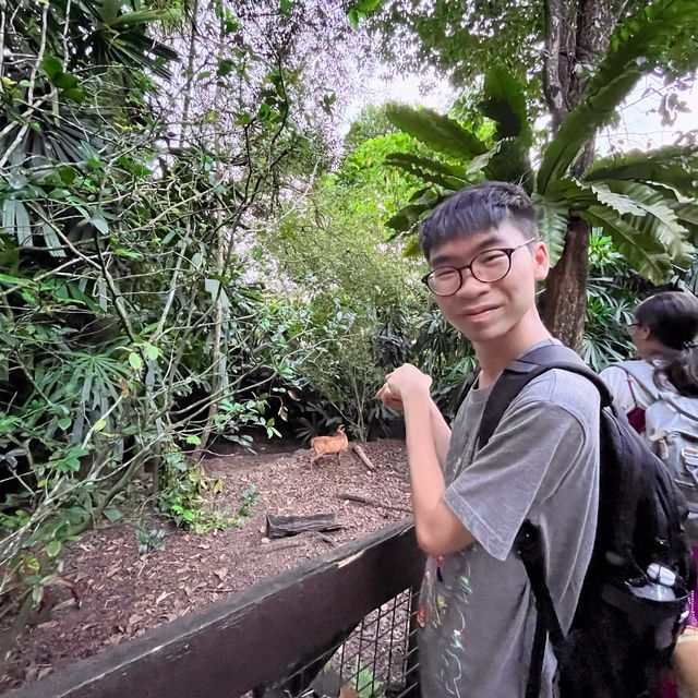 到訪全球首個夜間動物園😳