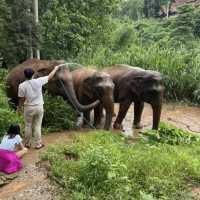 Anantara Golden Triangle Elephant Camp & Resort