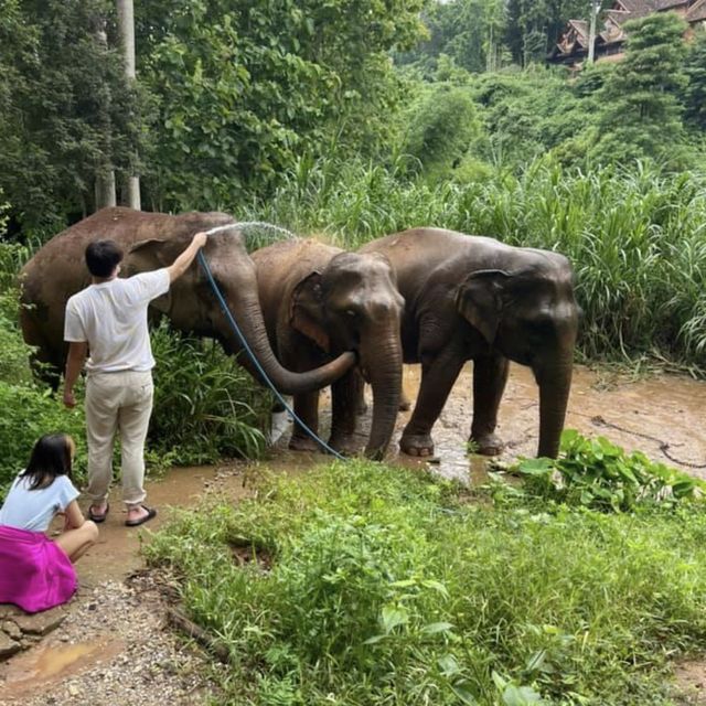 Anantara Golden Triangle Elephant Camp & Resort