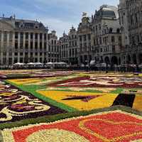BRUSSELS, BELGIUM🇧🇪 (Flower Carpet)
