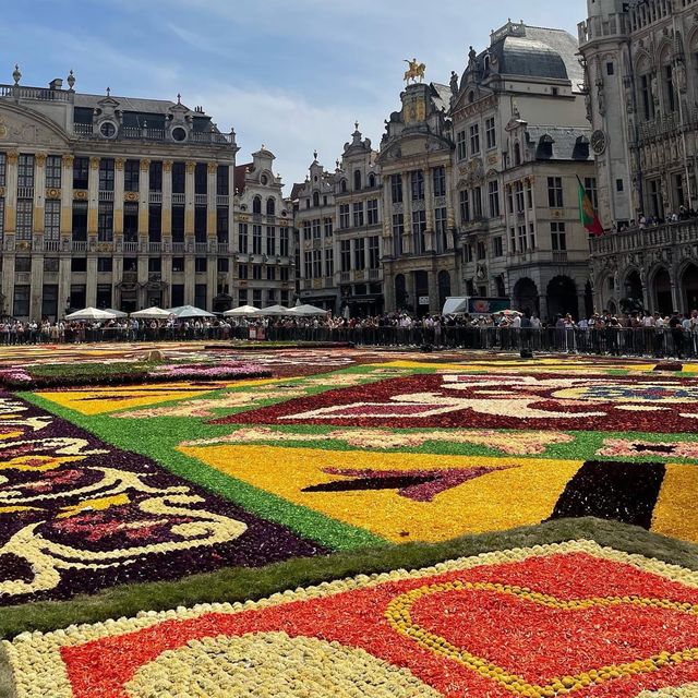 BRUSSELS, BELGIUM🇧🇪 (Flower Carpet)
