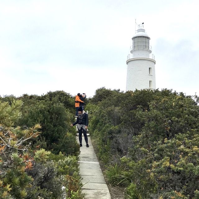 Over Century Lighthouse