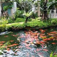 โรงแรมสวยริมคลอง นนทบุรี