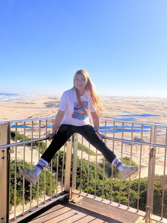 호주 시드니 사막에서 모래썰매타기 🏝️
