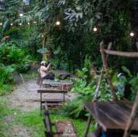 Bee forest บ้านแม่ลาย เชียงใหม่