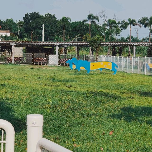 童趣的公園-嘉義綠映水漾公園