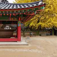 Beautiful Autumn View of Beopjusa temple 