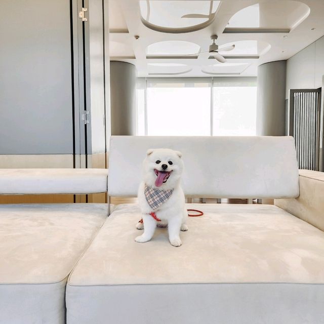 โรงแรม Pet Friendly สไตล์มินิมอล มู้ดดีเต็มสิบ!