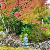 Autumn Splendor at Eigen-ji Temple