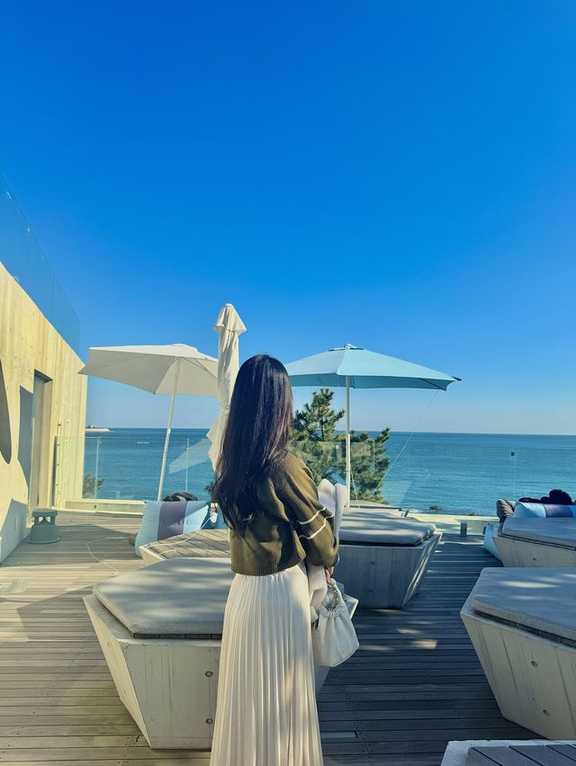 기장 오션뷰 최고봉 카페 웨이브온