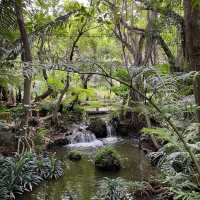 Khaomao-Khaofang Imaginary Jungle