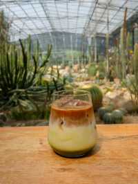 Botanist Activity Space & Cafe คาเฟ่สวนแคคตัส 🌵